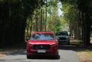 Tes Konsumsi BBM Honda CR-V RS Hybrid di Bali, Lumayan! - JPNN.com