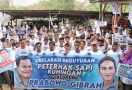 Peternak Sapi Kuningan Siap Menangkan Pemimpin Prorakyat Prabowo-Gibran di Pilpres 2024 - JPNN.com