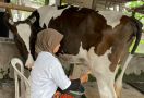 Ganjar Padjajaran Bantu Warga Tingkatkan Hasil Ternak Sapi di Bogor - JPNN.com