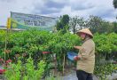 Ditjen Hortikultura Dorong Pertanian Ramah Lingkungan Melalui Pengendalian Hama Terpadu - JPNN.com