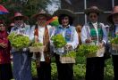 Dorong Ketahanan Pangan, Bidang V Oase KIM Panen Sayur Organik & Bimtek Urban Farming - JPNN.com