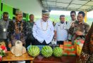 Dari Timur Indonesia, Wamentan Ajak Generasi Muda Berperan dalam Pembangunan Pertanian - JPNN.com