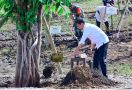 Presiden Jokowi Menanam Pohon Bersama Masyarakat Embung Anak Munting NTT - JPNN.com