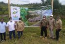 PalmCo-BBKSDA Riau Bersinergi Perkuat Konservasi Gajah Sumatera - JPNN.com