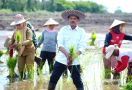 Pacu Akselerasi Food Estate di Kalteng, Kementan Gelar Gerakan Tanam Padi - JPNN.com