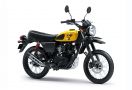 Kawasaki W175TR 2024 Punya Warna Baru, Sebegini Harganya - JPNN.com