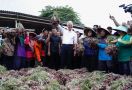 Ganjar Panen Bawang Merah Bareng Petani & Siap Penuhi Kebutuhan Produksi - JPNN.com
