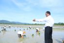 Mentan Amran Dorong Petani Percepat Masa Tanam di Awal Musim Hujan - JPNN.com