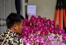 Megawati Ulang Tahun, Jokowi Kirim Karangan Bunga, Ada Ucapan Singkat - JPNN.com