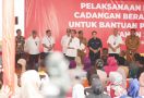 Dampingi Kunjungan Jokowi ke Sulsel, Kepala Bapanas Sebut Stok Beras Cukup - JPNN.com