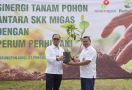 Perhutani dan SKK Migas Tanam Ribuan Bibit Pohon di Bogor - JPNN.com