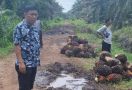 Konflik Lahan di Kampar Makan Korban, Kelompok Tani RSA Tagih Janji KLHK - JPNN.com