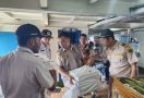 BKHIT Maluku Utara Gagalkan Penyelundupan 16 Ekor Satwa Liar Dilindungi - JPNN.com