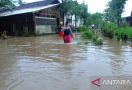 Banjir di Jember, Ratusan Rumah Terendam dan 1 Orang Terluka - JPNN.com