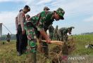 1.414 Hektare Lahan Dibuka Untuk Pertanian di Batang - JPNN.com