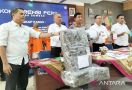 3 Pria di Sumbar Ditangkap Polisi terkait Kasus 23 Kg Ganja - JPNN.com