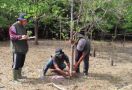 YKAN Turut Lestarikan Sumber Air & Mata Pencaharian Lewat Restorasi Mangrove Berbasis Masyarakat - JPNN.com