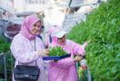 Kelompok Dasawisma Pisang di Palembang Sulap TPS Liar Jadi Urban Farming lewat BRI Peduli-BRInita - JPNN.com