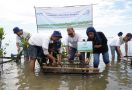 Wujudkan NZE, Asuransi Astra Tanam 1.000 Bibit Mangrove di Kepulauan Seribu - JPNN.com