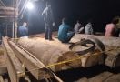 Polisi Menggerebek Sawmill Ilegal Terbesar di Kampar, 5 Pekerja Diamankan! - JPNN.com