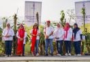 Pupuk Indonesia Perluas Program Kartini Tani Hingga ke Banyuwangi - JPNN.com