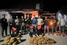 55 Kilogram Ganja Asal Panyabungan Madina Gagal Beredar di Sumbar - JPNN.com