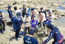 Dorong Kesejahteraan di Pesisir, PNM Peduli Tanam Ribuan Mangrove dan Terumbu Karang - JPNN.com