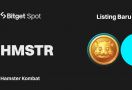 Token Hamster Kombat Proyek Kripto Terpopuler Berbasis Gim Akan Listing di Bitget - JPNN.com