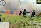 Setelah 2 Hari, Kebakaran di Taman Nasional Way Kambas Akhirnya Padam - JPNN.com