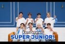 Konser Super Junior Hari Ini Digelar, Cek Rundownnya Nih - JPNN.com