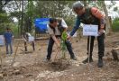 Komitmen Lestarikan Hutan Wanagama di Gunungkidul, KLHK Gandeng Astra & UGM - JPNN.com