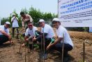 ASDP Tanam 3 Ribu Bibit Mangrove di Tangerang, Wujud Komitmen Jaga Kualitas Perairan - JPNN.com