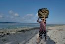 BRI Bantu Klaster Usaha Rumput Laut Semaya di Nusa Penida Naik Kelas - JPNN.com