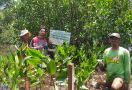 Lestarikan Bangau Bluwok, Pertamina Patra Niaga Regional JBB Tanam 3.750 Mangrove di Pulau Rambut - JPNN.com