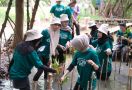 Peringati Hari Pohon Sedunia, MSGLOW Beauty Tanam Mangrove di PIK  - JPNN.com