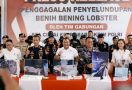 Bareskrim Gagalkan Penyelundupan 151 Ribu Benih Lobster di Bintan - JPNN.com