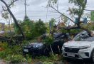 Kendaraan-Kendaraan Tertimpa Pohon Tumbang Akibat Cuaca Ekstrem di Lombok Timur - JPNN.com