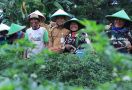 Gaungkan Urban Farming, Dr. Nurdin Berkomitmen Perkuat Ketahanan Pangan Jaga Inflasi - JPNN.com