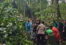 Pohon Tumbang Menewaskan 2 WNA di Ubud - JPNN.com