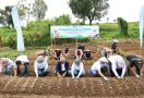 TJSL PELNI Resmikan Desa Mandiri Penghasil Sayur di Cianjur - JPNN.com