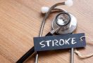 Atasi Stroke Ringan dengan Menggunakan 7 Pengobatan Alami Ini - JPNN.com