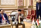 Parlemen Indonesia-Mesir Sepakat Dukung Kemerdekaan Palestina - JPNN.com