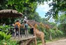 Pungli Parkir di Kebun Binatang Bandung, Bus Pariwisata Digetok Tarif Rp 150 Ribu  - JPNN.com