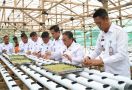 Lapas Pematang Siantar Resmikan Green House Demi Program Ketahanan Pangan - JPNN.com