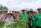 Pertanian Hortikultura Itikurih di Garut Tumbuhkan Ekonomi Mandiri Masyarakat - JPNN.com