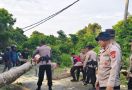 Seorang Pelajar Tewas Tertimpa Pohon Tumbang di Gilimanuk - JPNN.com