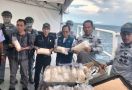 Bakamla Menggagalkan Penyelundupan Benih Lobster di Perairan Kepulauan Seribu - JPNN.com