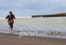 Buaya Muncul di Muara, Turis dan Nelayan Harus Waspada - JPNN.com