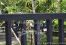 Lihat Nih, Taman Tanpa Penjagaan Jadi Lokasi Begituan - JPNN.com