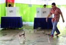 Exit Poll: Anies-Sandi Pertama, Ahok-Djarot Kedua - JPNN.com